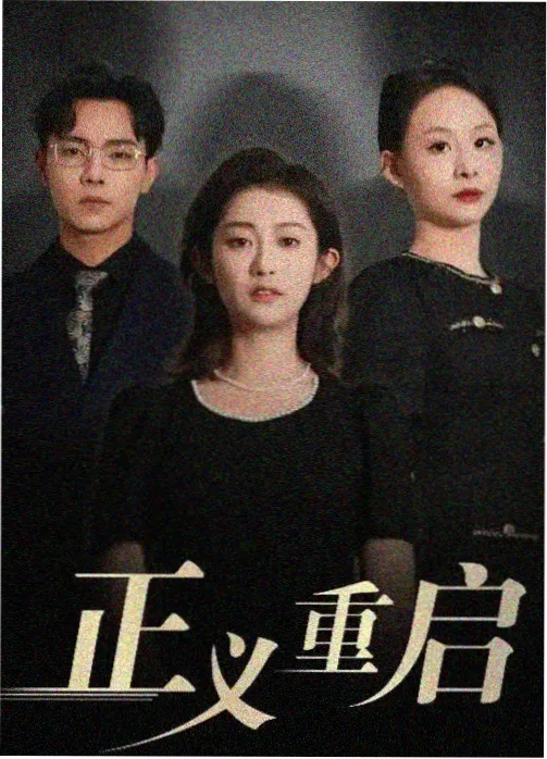 金牌调解完整版 2025 合集导览